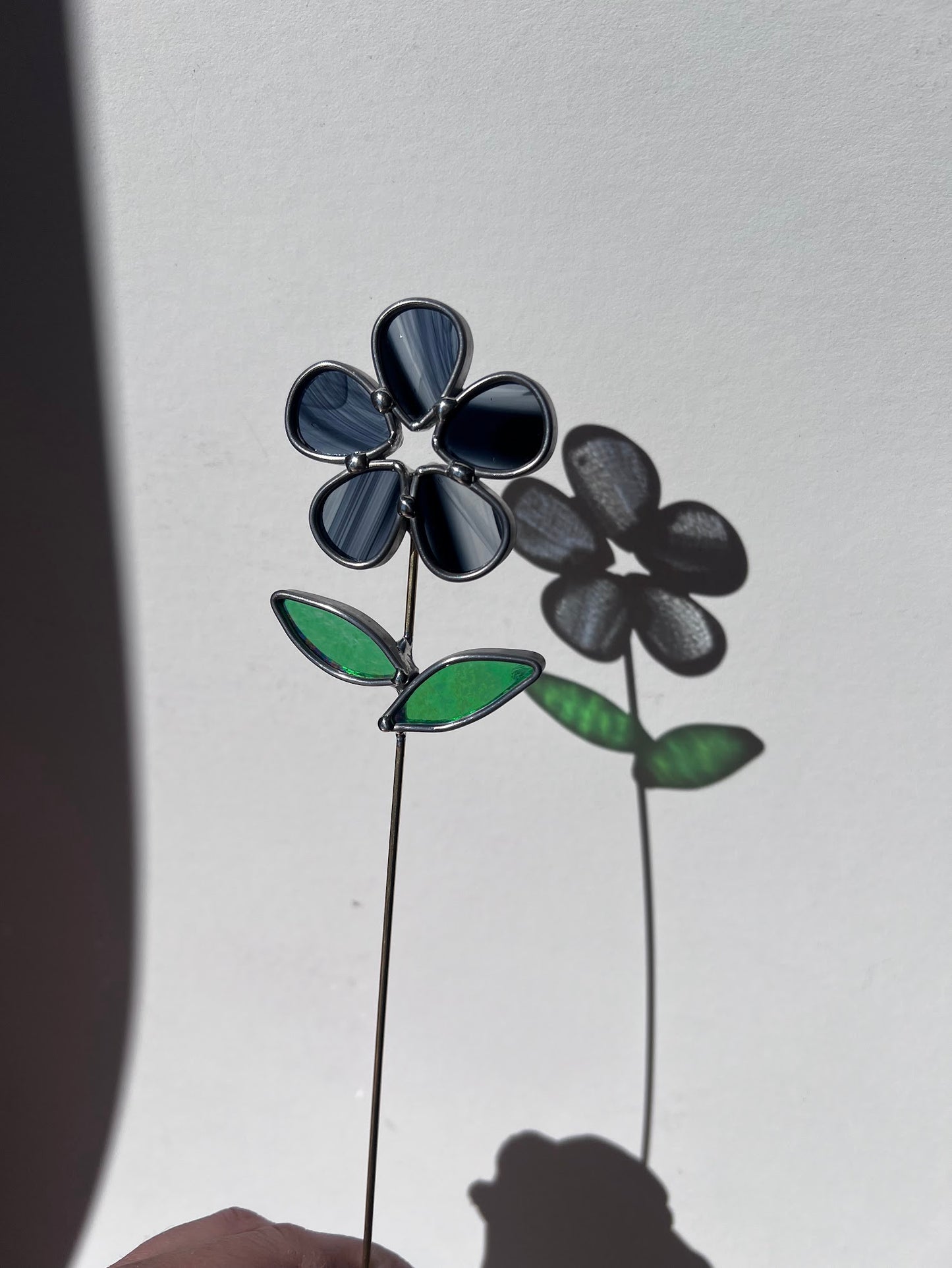 Stained Glass Wispy Black & Clear Daisy