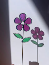 Golden Iridescent Fuchsia Daisy
