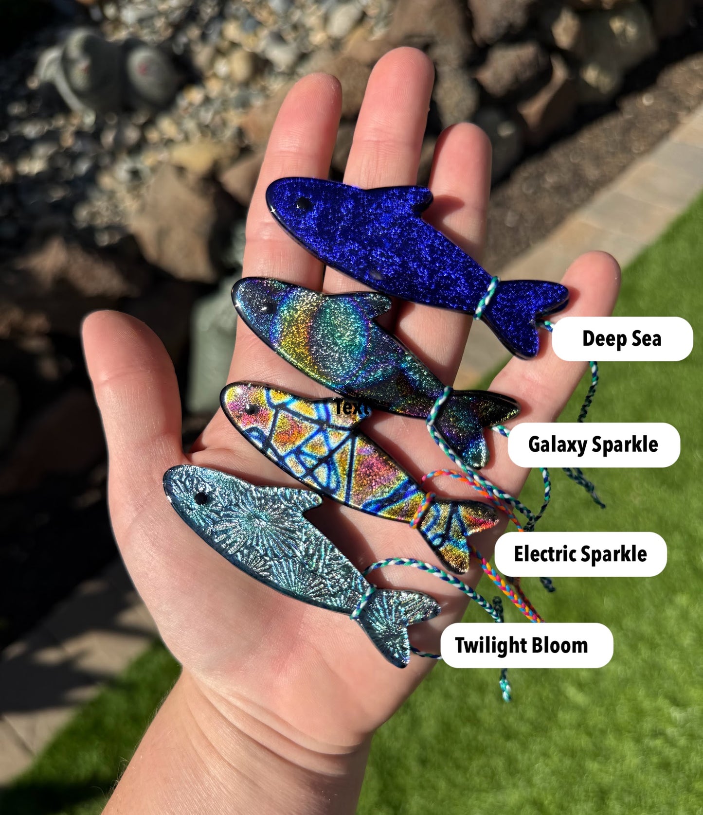 One of One Dichroic-dines!