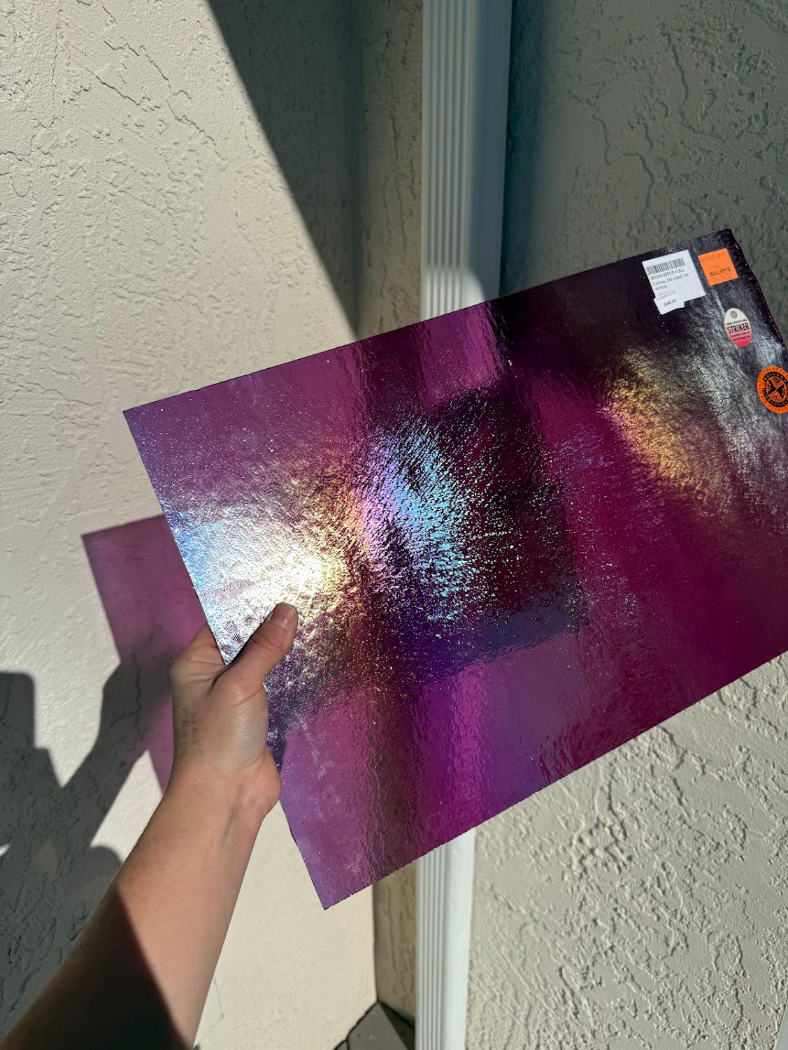 Custom Sardine Lamp for Brittney!