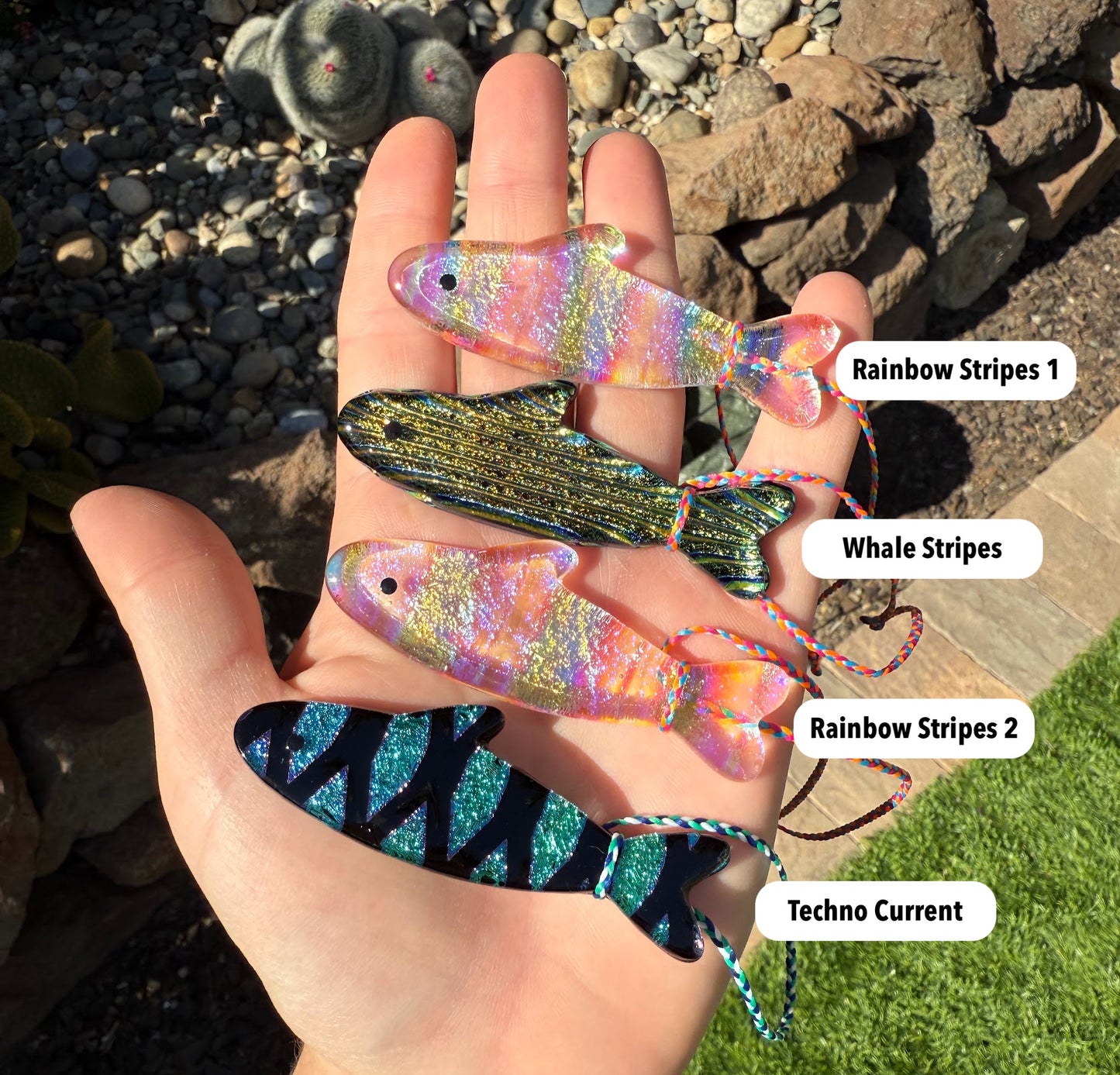 One of One Dichroic-dines!