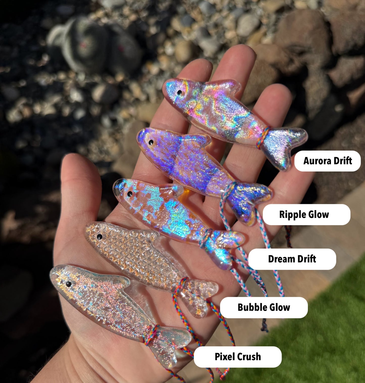 One of One Dichroic-dines!